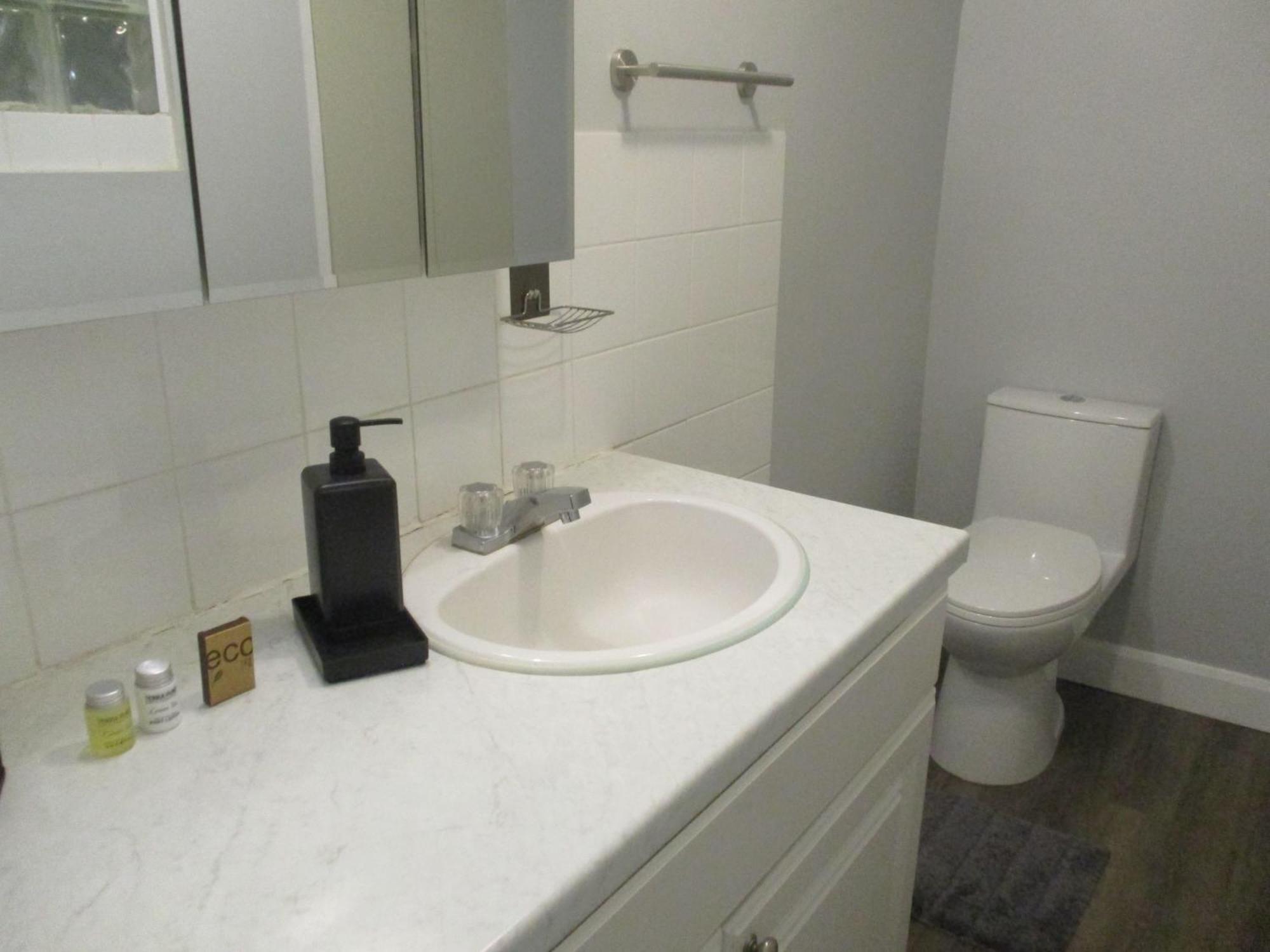 High Park Single Room With Personal Washroom And Kitchen Toronto Exterior foto